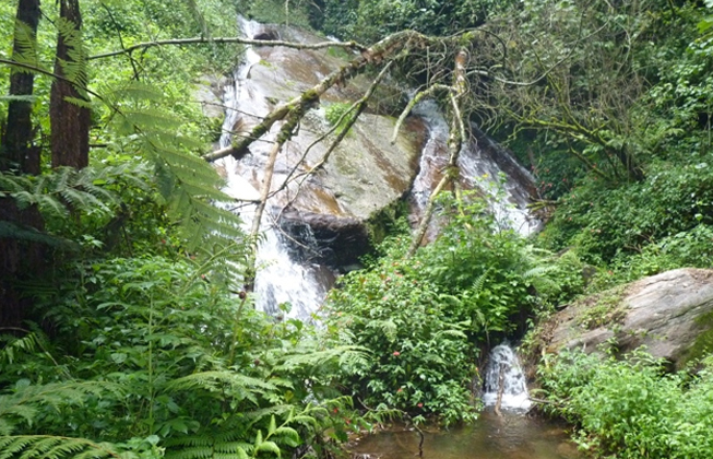 Chute d'eaux